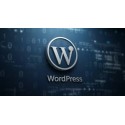 طراحی صفحات وب با وردپرس